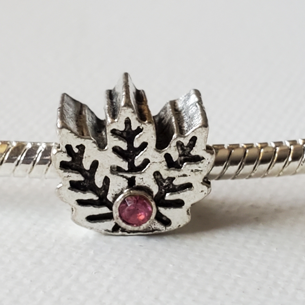 Charm. NWOT.  Fits in Pandora snake chain Bracelet